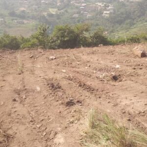 WhatsApp Image 2025-07-10 at 5.26.23 PM (1)