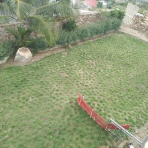 WhatsApp Image 2025-07-10 at 5.26.24 PM